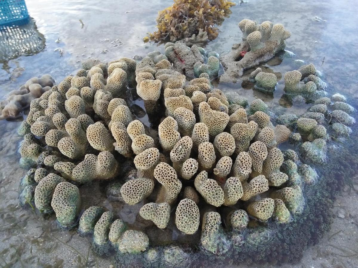Tammoyo Place Kudat Luaran gambar