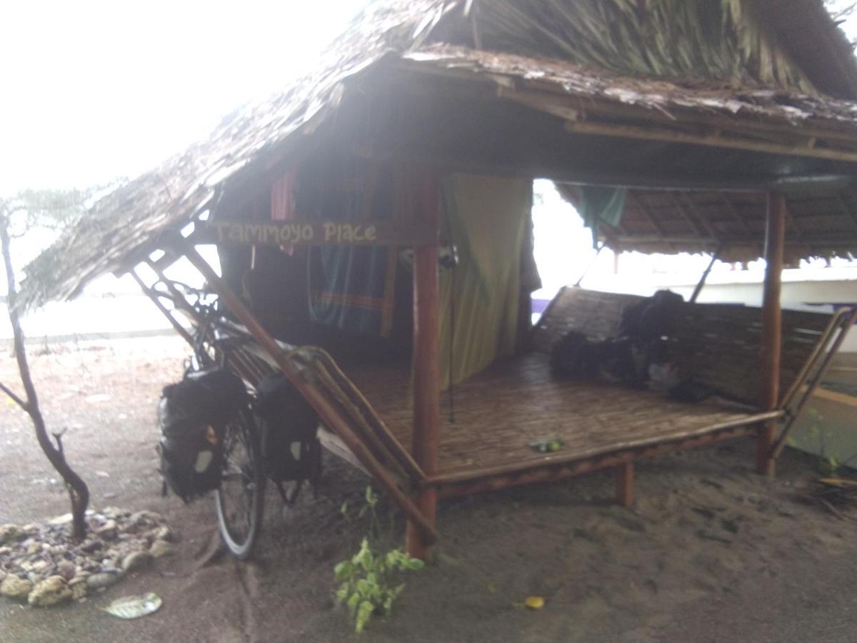 Tammoyo Place Kudat Luaran gambar